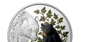 2015 Baby Animals Silver Coin Subscription Popular 2015 $20 Bear Cub Silver Coin from 4-Coin Baby Animals Subscription