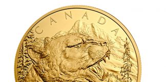 2015 Growling Cougar Coins in 1/2 Kilo Gold and Silver 2015 Growling Cougar One-Half Kilogram Gold Coin