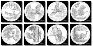 Kisatchie National Forest Quarters Available Design candidates for the Kisatchie National Forest Quarter