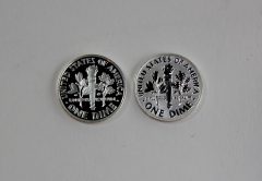 Proof and reverse proof 2015 Roosevelt Dimes – reverses