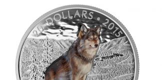 2015 Canadian Coins Depict Imposing Alpha Wolf 2015 $20 Imposing Alpha Wolf Silver Coin