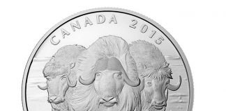 Canadian 2015 $100 Muskox Silver Coin for $100 Canadian 2015 $100 Muskox Silver Coin