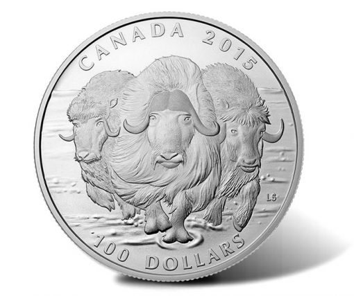 Canadian 2015 $100 Muskox Silver Coin