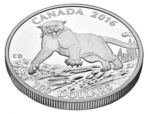 Edge of Canadian 2016 $100 Cougar Silver Coin