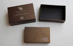 2015-W $100 Proof American Platinum Eagle – Packaging