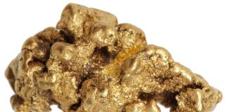 Gold Nuggets in Heritage January 2016 FUN Sale Gold Nugget, 24.7 grams