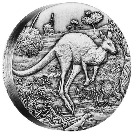 2016 Australian Kangaroo High Relief 2 oz Silver Antiqued Coin, Reverse