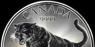 “Predator” and “Call of the Wild” Canadian 2016 Bullion Coins Launch 2016 Cougar 1 oz Silver Bullion Coin