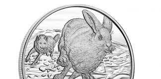 Canadian 2016 $50 Hare Silver Coin for $50 Canadian 2016 $50 Hare Silver Coin