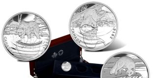 Canadian 2016 Coin Series Depicts Wildlife Reflections Canadian 2016 Wildlife Reflections Silver Coins