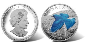 2016 Canadian Silver Coin Series Features Migratory Birds 2016 $20 Mountain Bluebird Silver Proof Coin, Obverse and Reverse