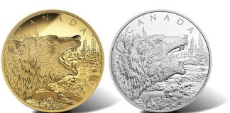 Canadian 2016 Roaring Grizzly Bear Coins in 1/2 Kilogram Sizes 2016 Roaring Grizzly Bear 1/2 Kilogram Gold and Silver Coins