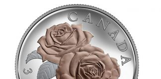 Canadian 2016 Coin Depicts Queen Elizabeth Roses in Rose Gold Canadian 2016 $3 Queen Elizabeth Rose Silver Coin