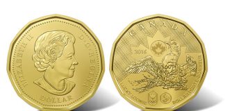 Circulation 2016 Lucky Loonie in 5-Coin Packs and Rolls Canadian 2016 Lucky Loonie