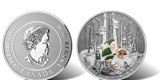 2016 $25 Woodland Elf Silver Coin for $25 Canadian 2016 $25 Woodland Elf Silver Coin