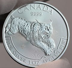 2017 $5 Canadian Lynx 1 oz Silver Coin-a