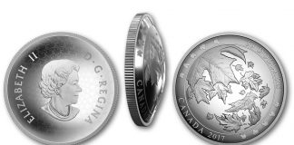 Maple Leaves in Motion Depicted on Curved 2017 5oz Silver Coin 2017 $50 Maple Leaves in Motion 5 oz. Silver Convex Coin