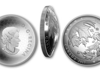 Maple Leaves in Motion Depicted on Curved 2017 5oz Silver Coin 2017 $50 Maple Leaves in Motion 5 oz. Silver Convex Coin