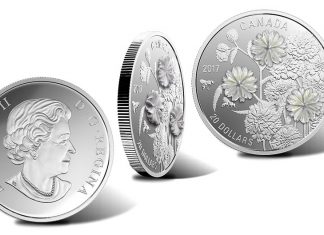 Canadian 2017 $20 Coin Uses Pearl Pieces to Embellish Flowers Canadian 2017 $20 Pearl Flowers 1 oz. Silver Coin