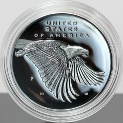 Photo 2017-P Proof American Liberty Silver Medal - Reverse, Encapsulated