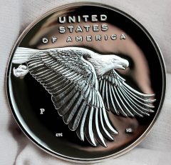 Photo 2017-P Proof American Liberty Silver Medal, Reverse,a