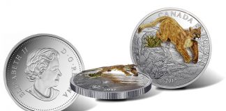 Canadian 2017 $20 Coin Depicts Leaping Cougar in 3D 2017 $20 Three-Dimensional Leaping Cougar 1 oz. Silver Coin