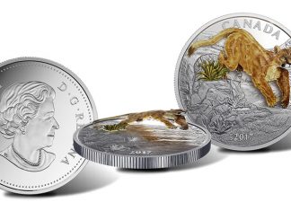 Canadian 2017 $20 Coin Depicts Leaping Cougar in 3D 2017 $20 Three-Dimensional Leaping Cougar 1 oz. Silver Coin