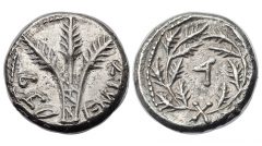 Year 4 Quarter-Shekel