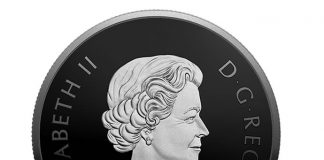 2017 $20 Canadian Coin Shows Little Brown Bat in Black Rhodium Plating 2017 $20 The Little Brown Bat 1 oz. Pure Silver Coin - Obverse