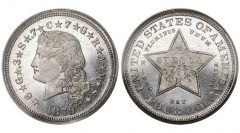 1879 Flowing Hair Stella in Aluminum