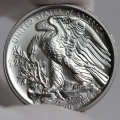 2017 $25 American Palladium Eagle Bullion Coin – Reverse
