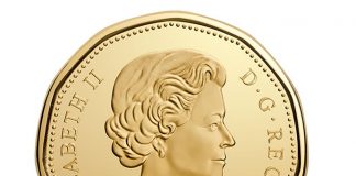 Canadian 2017 $1 100th Anniversary Toronto Maple Leafs Coin Enters Circulation Canadian 2017 $1 100th Anniversary Toronto Maple Leafs Circulation Coin - Obverse