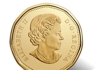 Canadian 2017 $1 100th Anniversary Toronto Maple Leafs Coin Enters Circulation Canadian 2017 $1 100th Anniversary Toronto Maple Leafs Circulation Coin - Obverse