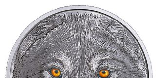 Canadian 2017 $15 Wolf Coin Features Glow-in-the-Dark Eyes Canadian 2017 $15 Wolf Coin - glow-in-dark