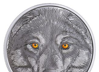 Canadian 2017 $15 Wolf Coin Features Glow-in-the-Dark Eyes Canadian 2017 $15 Wolf Coin - glow-in-dark