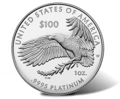 2018-W Proof American Platinum Eagle - Reverse, Eagle
