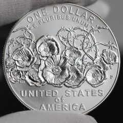 Photo of 2018-P Uncirculated World War I Centennial Silver Dollar - Reverse-a
