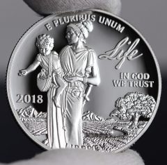 Photo of 2018-W Proof American Platinum Eagle - Obverse, Life-c