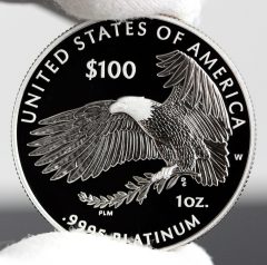 Photo of 2018-W Proof American Platinum Eagle - Reverse, a