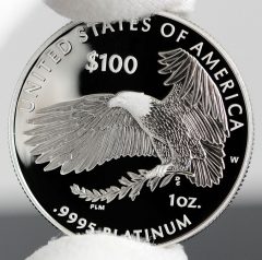 Photo of 2018-W Proof American Platinum Eagle - Reverse, b