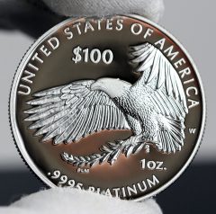 Photo of 2018-W Proof American Platinum Eagle - Reverse, c