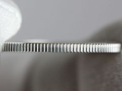 Photo of Edge of Silver 2018 Cumberland Island National Seashore Quarter