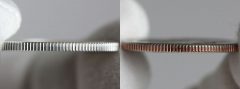 Photo of Edges of Silver and Clad 2018 Cumberland Island National Seashore Quarter