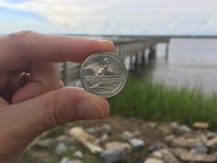 Cumberland Island National Seashore quarter