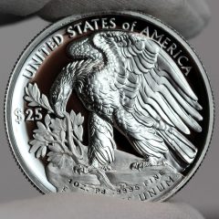 2018-W $25 Proof American Palladium Eagle - Reverse