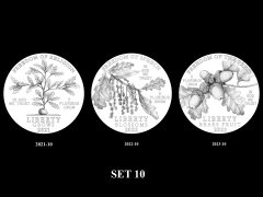 2021-2025 Proof American Platinum Eagle Concept Design – Set 10