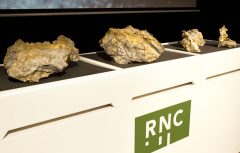 PMIS RNC Beta Hunt gold specimens