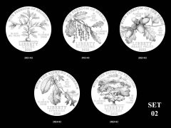 2021-2025-W Proof American Platinum Eagle Candidate Designs - Set 2