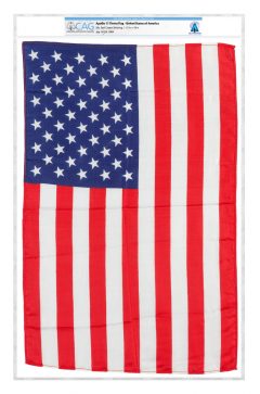 1969 Apollo 11 Flown Flag