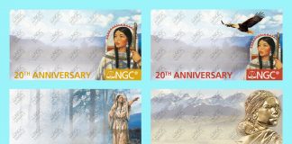 Public To Select Sacagawea Dollar 20th Anniversary NGC Label Design Sacagawea composite for BGC label